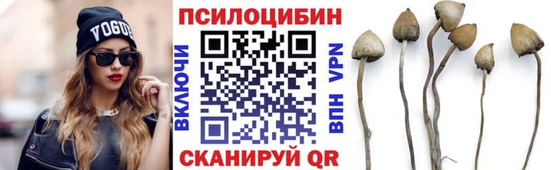 hydra как войти  Багратионовск  Галлюциногенные грибы GOLDEN TEACHER 